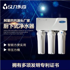 凈水器 凈水器