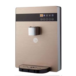 壁掛式管線機YGX501-1（拉絲金）